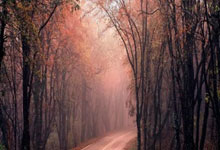 被高估？代表曼城三次決賽全部啞火 哈蘭德打硬仗能力遭質疑！.