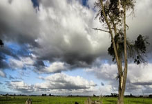 諾丁漢森林因違反英超規則被扣除4分,面臨降級威脅.