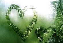 蒙古隊主場判罰令人咋舌 各種荒唐犯規吹在我們頭上.